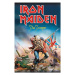 Plakát, Obraz - Iron Maiden - The Trooper, 61x91.5 cm