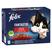 Felix Fantastic lahodný výběr v želé - s kuřetem, hovězím, králíkem a jehněčím 12 x 85 g