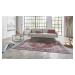 Nouristan - Hanse Home koberce Kusový koberec Asmar 104000 Plum/Red - 160x230 cm