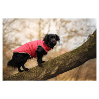 Vsepropejska Celine zimní bunda pro psa Barva: Vínová, Délka zad (cm): 55, Obvod hrudníku: 76 - 