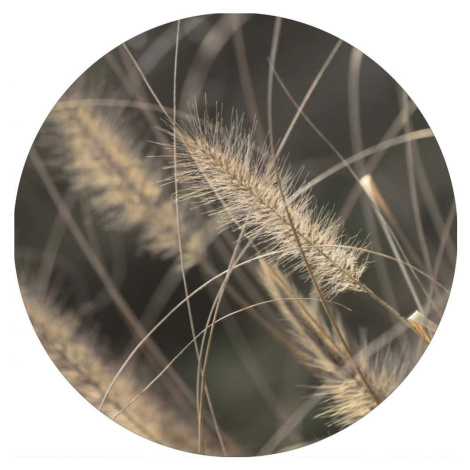 Obraz ø 40 cm Mellow Grasses 2 – Malerifabrikken