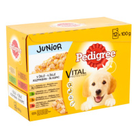 Pedigree Junior - 12ks