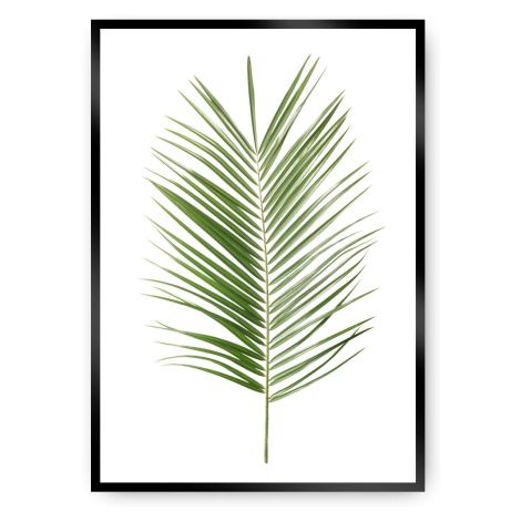 Dekoria Plakát Palm Leaf Green, 40 x 50 cm, Vybrat rám: Černý
