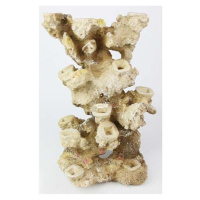 Ebi AQUA DELLA CORAL REEF XL 33x24x49cm, for 13 corals