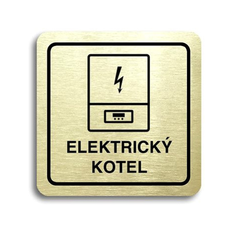 Accept Piktogram "elektrický kotel" (80 × 80 mm) (zlatá tabulka - černý tisk)