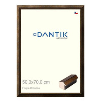 DANTIK rámeček 50 × 70, Forgia Bronzea plexi čiré