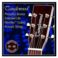 TANGLEWOOD Acoustic Guitar Strings 12 Medium Light