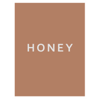 Ilustrace Honey, Finlay & Noa, 30x40 cm