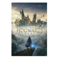 Plakát Harry Potter - Hogwarts Legacy (273)