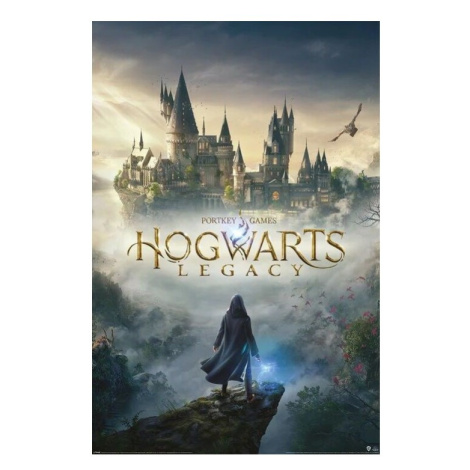 Plakát Harry Potter - Hogwarts Legacy (273) Europosters
