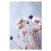 Fotografie Pastel Dry Flowers No 4, Treechild, 26.7 × 40 cm