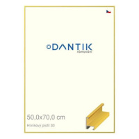 DANTIK rámeček 50 × 70, ALU profil 6030 Dýha barevný žlutý citrus plexi čiré