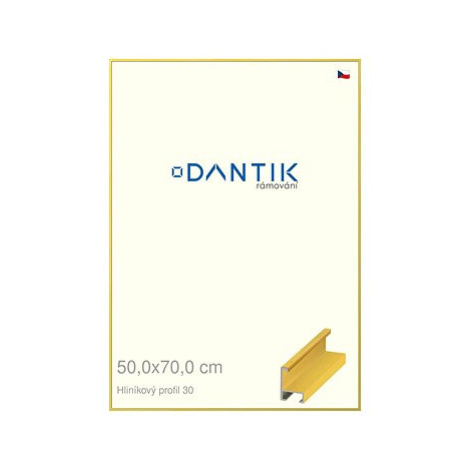 DANTIK rámeček 50 × 70, ALU profil 6030 Dýha barevný žlutý citrus plexi čiré