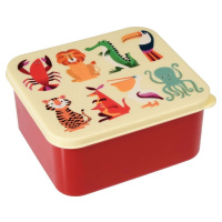 Box na jídlo Rex London Colourful Creatures
