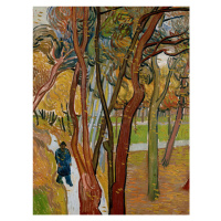 Obrazová reprodukce The Garden of Saint Paul, Vincent van Gogh, 30 × 40 cm