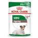ROYAL CANIN MINI AGEING 12+ mokré krmivo pro starší malé psy 24 × 85 g