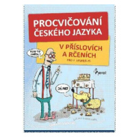 Procvičování českého jazyka - v příslovích a rčeních - Libor Drobný, Hana Kneblová