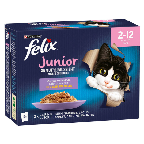 Felix ("So gut...") - Junior - kuřecí, hovězí, losos, sardinky (12 x 85 g)