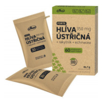 Vitar Hlíva ústřičná+echinacea+rakytník EKO cps.60