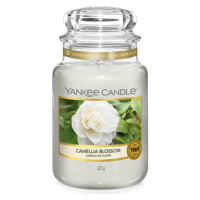 Yankee Candle Květ kamélie Svíčka ve skleněné dóze 623 g