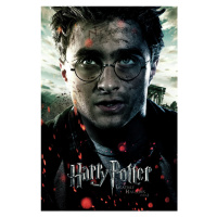 Umělecký tisk Harry Potter - Deathly Hallows, 26.7x40 cm