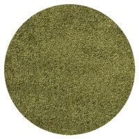 Ayyildiz koberce Kusový koberec Dream Shaggy 4000 Green kruh - 120x120 (průměr) kruh cm