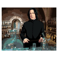 Zuty Malování podle čísel Severus Snape ve třídě lektvarů (Harry Potter)