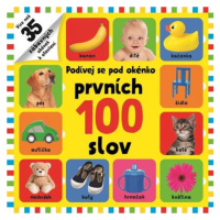 Prvních 100 slov - Podívej se pod okénko