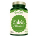 GREENFOOD NUTRITION Lutein+Vitamin A 90 kapslí