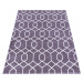 Ayyildiz koberce Kusový koberec Efor 3713 violet Rozměry koberců: 80x150