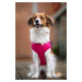 Vsepropejska Zala letní tričko pro psa Barva: Růžová, Délka zad (cm): 29, Obvod hrudníku: 36 - 4