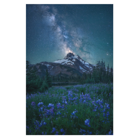 Fotografie Milky Way Above Mt. Jefferson, Steve Schwindt, 26.7 × 40 cm