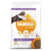 IAMS Cat Kitten Chicken 10kg