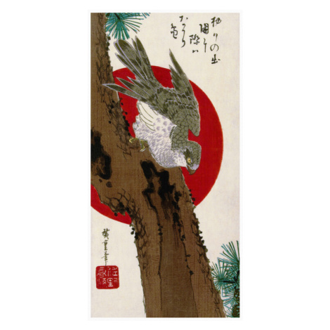 Obrazová reprodukce The Hawk & The Red Sun, Utagawa Hiroshige, 20 × 40 cm