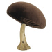 Dekoria Dekoracja Velvet Mushroom 12 cm brown, 11x12 cm