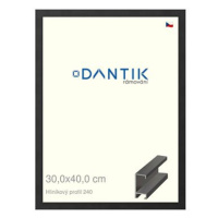 DANTIK rámeček 30 × 40, ALU profil 6240 Černý matný plexi čiré