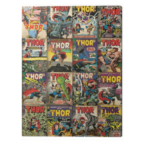 Obraz na plátně Thor - Covers, (60 x 80 cm) Pyramid