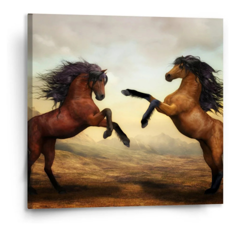 Obraz Vzpínající se koně - 110x110 cm