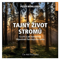 Tajný život stromů: Co cítí a jak komunikují - objevování fascinujícího světa