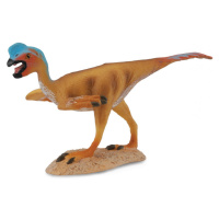 Collecte - Oviraptor