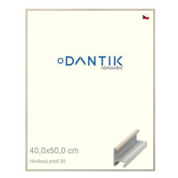 DANTIK rámeček 40 × 50, ALU profil 6030 Dýha slovnový kost plexi čiré