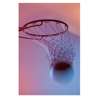 Fotografie Basketball on rim of hoop, Paul Bradbury, 26.7x40 cm
