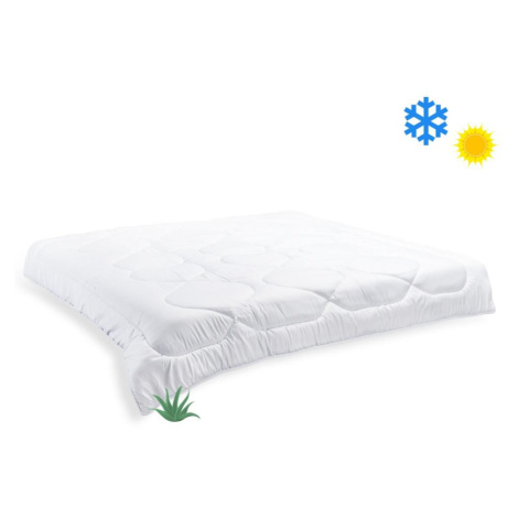 Brotex Francouzská přikrývka Aloe Vera celoroční 200 × 200 cm 1200 g