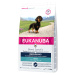 Eukanuba Dachshund - Jezevčík - výhodné balení: 3 x 2,5 kg