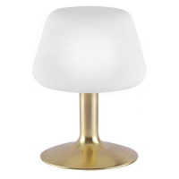 PAUL NEUHAUS LED stolní lampa v matné mosazi a stínítkem z opálového skla, teplá bílá barva vč. 