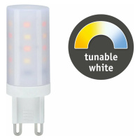 PAULMANN LED 1x4W G9 teplá bílá - denní bílá TunableWhite 288.20