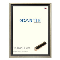 DANTIK rámeček 15 × 20, NINA černý AG linka sklo čiré