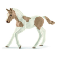 Schleich Zvířátko - Hříbě plemene Paint Horse