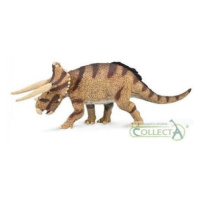 Triceratops horridus