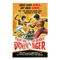 Ilustrace Fighting Dragon Vs Deadly Tiger, 26.7 × 40 cm